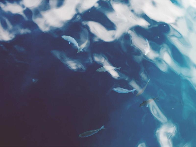 数探鹰眼<br>全网信源聚合与清洗